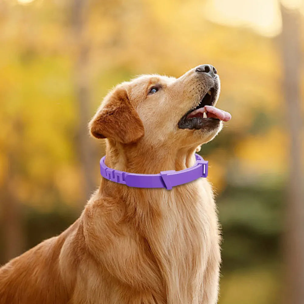 Shunmaii Pheromone Pet Calming Collar For Cats Dogs