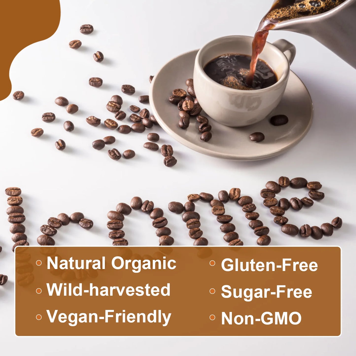 Beworths Mushroom Coffee Reishi Lions Mane Blend Immunity Focus