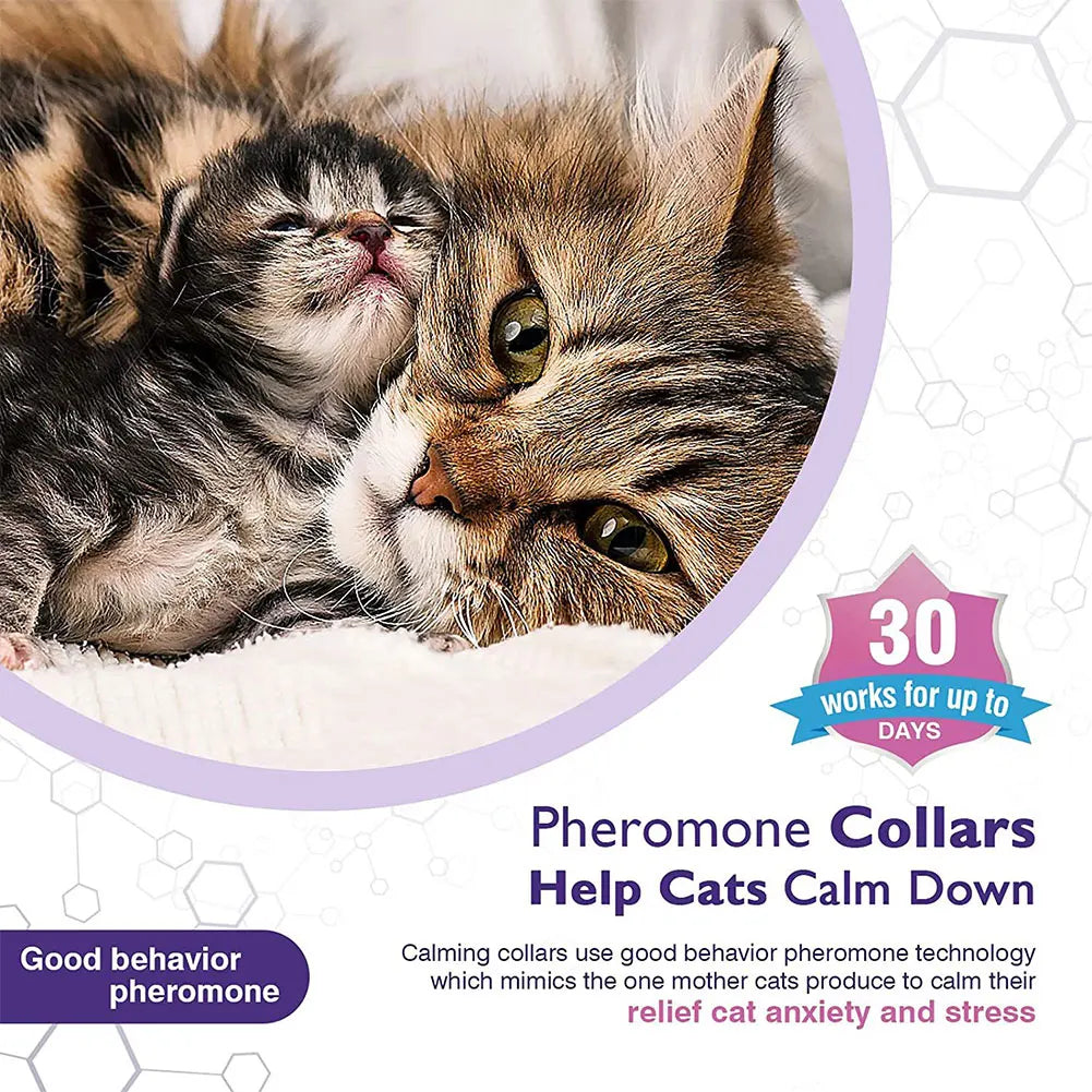 Pet Calming Pheromone Collar