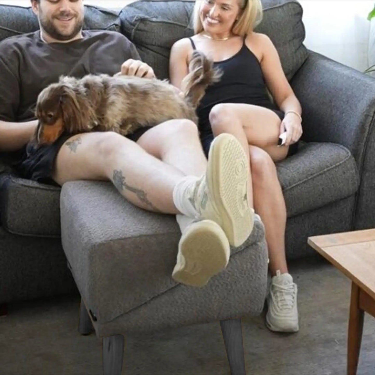 Foldable Dog Ramp for Bed and Vehicle Stairs Non Slip