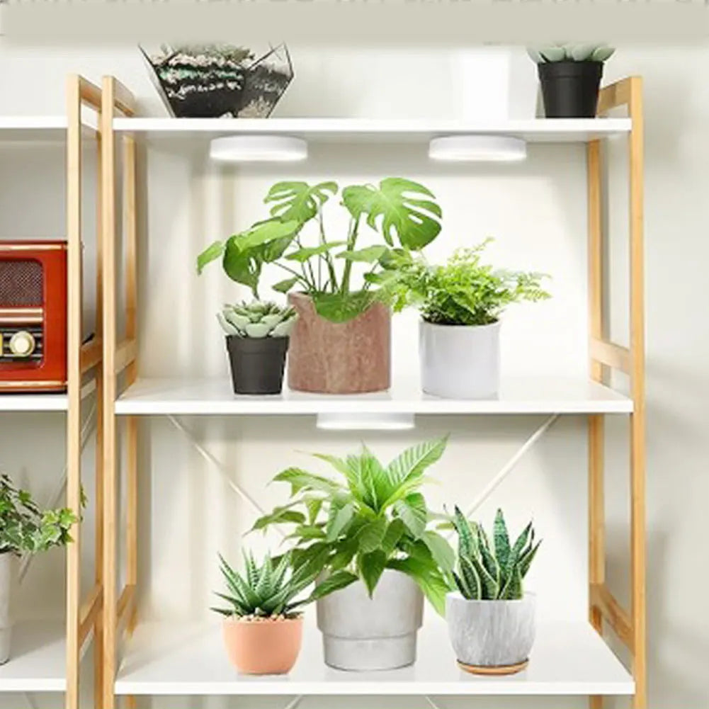 Shunmaii Full Spectrum LED Halo Plant Grow Light Dimmable