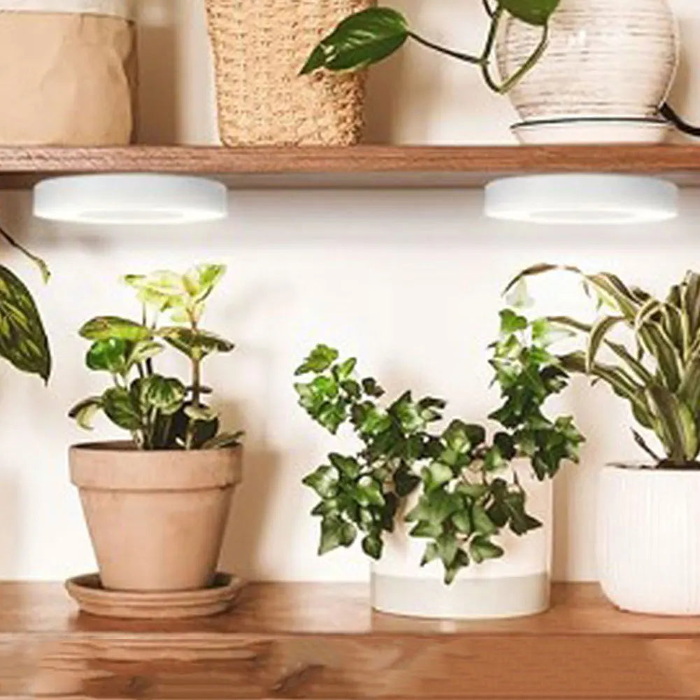 Shunmaii Full Spectrum LED Halo Plant Grow Light Dimmable